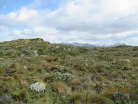 Fahrt auf dem Beagle-Kanal