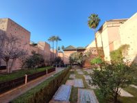 Sadier-Gräber Außenanlage