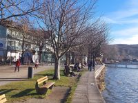 Tag 2 (12) 5-Seenland - Am Ammersee.jpg