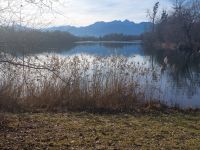 Tag 6 (3) Neujahrsspaziergang  - in den Happinger Auen.jpg