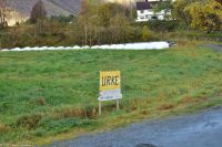Urke am Norangsfjord (Hjørundfjord, Storfjord)
