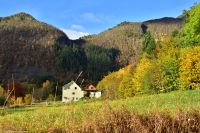 Urke am Norangsfjord (Hjørundfjord, Storfjord)