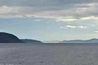 Der Trondheimfjord - ist mit 126 km Länge der drittlängste Fjord Norwegens