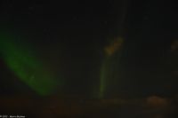 Frei nach dem Motto - 