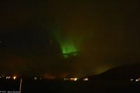 Frei nach dem Motto - 