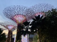 Lichtershow Gardens by the Bay 