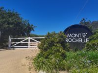 Besuch im ersten Weingut zum Tasting