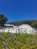 Weingut Mont Rochelle in Franschhoek