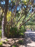 Herrliches Wetter für einen Parkspaziergang