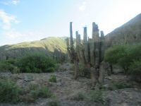 Fahrt nach San Antonio de los Cobres