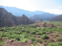 Fahrt durch die Muschelschlucht nach Cafayate