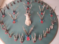 3 Schloß Erbach-Raritäten.jpg