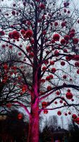 Im Park von Schloss Hellbrunn