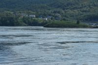 Saltstraumen - der stärkste Gezeitenstrom der Welt - was hier fließt ändert alle 6 Stunden die Fließrichtung