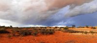 00014 Namibia - Kalahari - Nature Drive