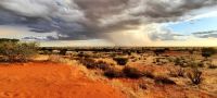 00020 Namibia - Kalahari - Nature Drive