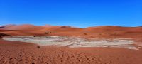 00123 Namibia - Namibwüste