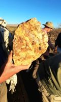 00238 Namibia - Goldene Stunde auf Hohenstein