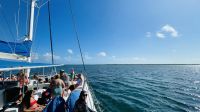 Segeltörn vor der Küste von Cayo Santa Maria