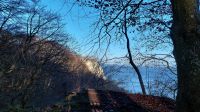 Blick auf den Königsstuhl.jpg