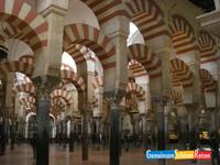 Cordoba - Säulenwald