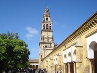 Turm der Kathedrale in Cordoba vom Orangenhof