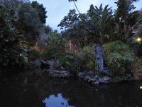 Tag 4 Monte Carlo, japanischer Garten