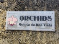 Orchideen Garten auf Madeira