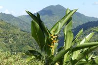 Ausflug Blue Mountains