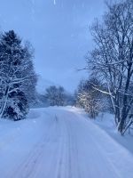Tag 4 - Fahrt durch die Winterlandschaft der Vesterålen 