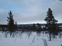 Schneeschuhwanderung
