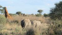 Namibia - Otjiwa Safari Lodge - Pirsch zu Fuss