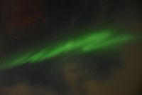 Bingo! Das wollen wir sehen! Die 