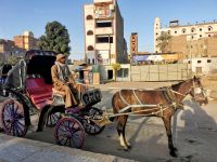 Zum Tempel gelangt man mit der Pferdekutsche