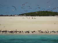 Australien - Great Barrier Reef  - Green Island