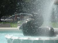 Neuseeland - Auckland 