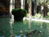 Barcelona - Kreuzgang