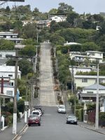 Neuseeland - Dunedin - Baldwin Street - steilste Straße der Welt