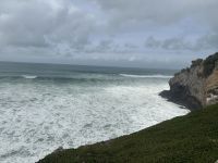 Neuseeland - Dunedin