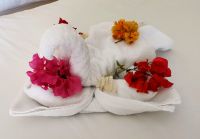 Die Roomboys geben wieder ihr bestes