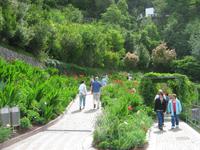 Terassengarten