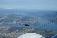 Blick zum Vierwaldstätter See
