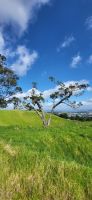 59 Mount Eden