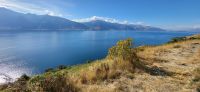 311 Lake Hawea