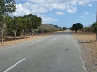 langsam wird es grüner