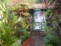 im Garten von Martha Jiménez