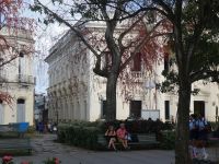 am späten Nachmittag