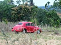 selbst hier Oldtimer