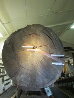 Lebensdaten eines Kauri von 1100 bis zu seiner Fällung 1860