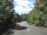 Fahrt durch den wunderschönen Waipoa Forest